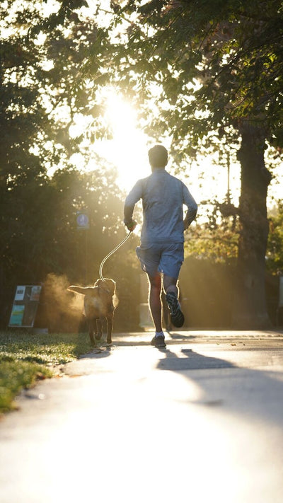 Active Lifestyle Support