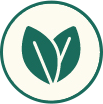 Plant-Based Formulation