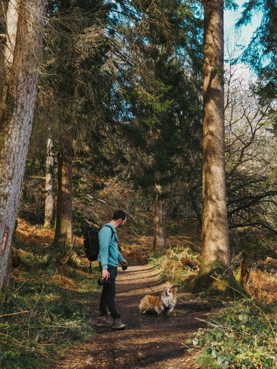 Weekend Hikes & Adventures