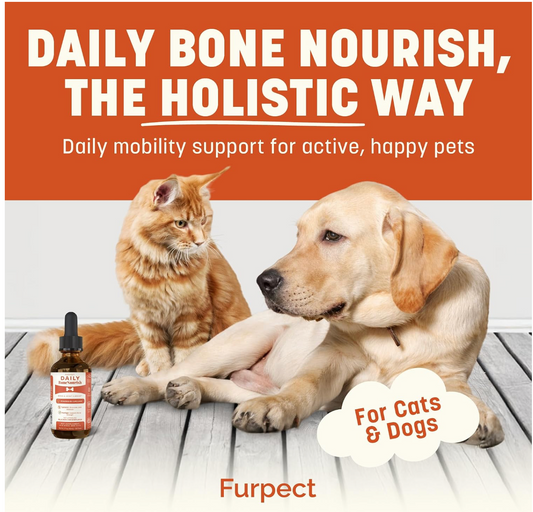 Daily Bone Nourish