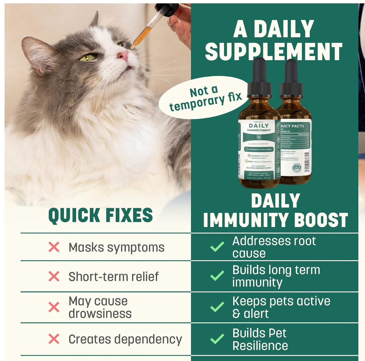 Daily Immunity Support