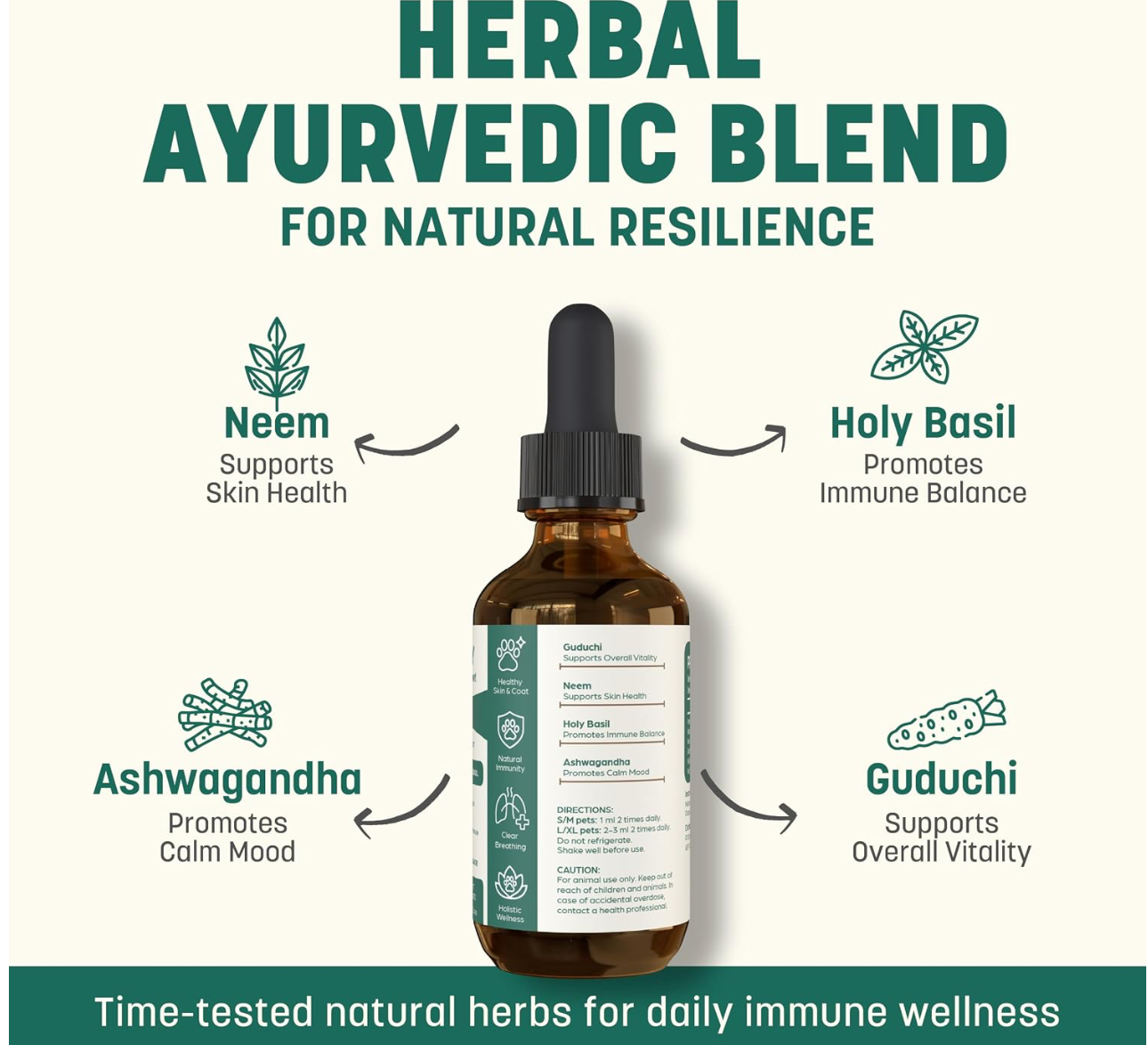 Daily Immunity Support